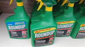 Roundup with word 'cancer' written on bottles in garden centre 